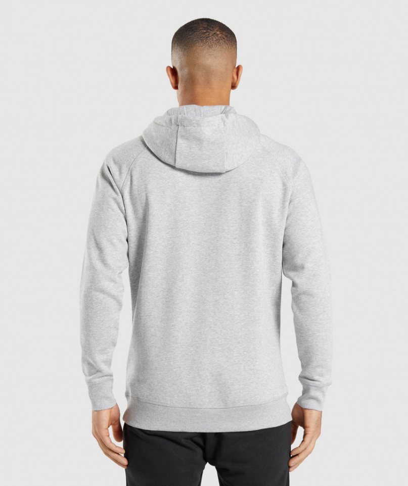 Men's Gymshark Crest Hoodie Light Grey | NZ 4AHWXC